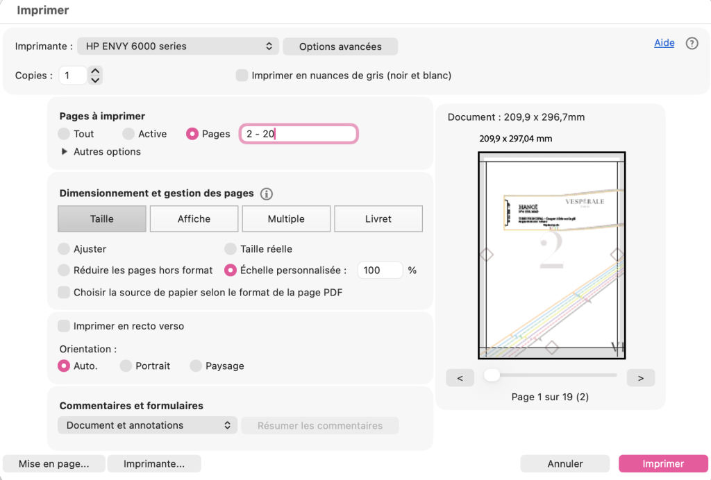 Réglages d'impression du patron de couture PDF HANOÏ dans Adobe Acrobat Reader.
